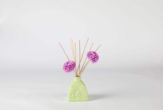 De ceramische Geur Reed Diffuser van het Flessenhuis